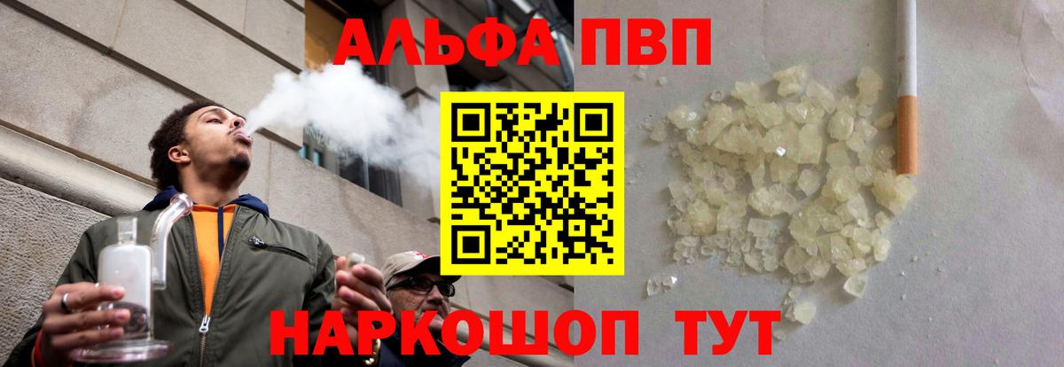 A PVP СК Сыктывкар