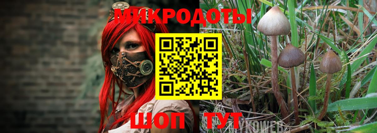 Галлюциногенные грибы прущие грибы  Вход с VPN  Сыктывкар 